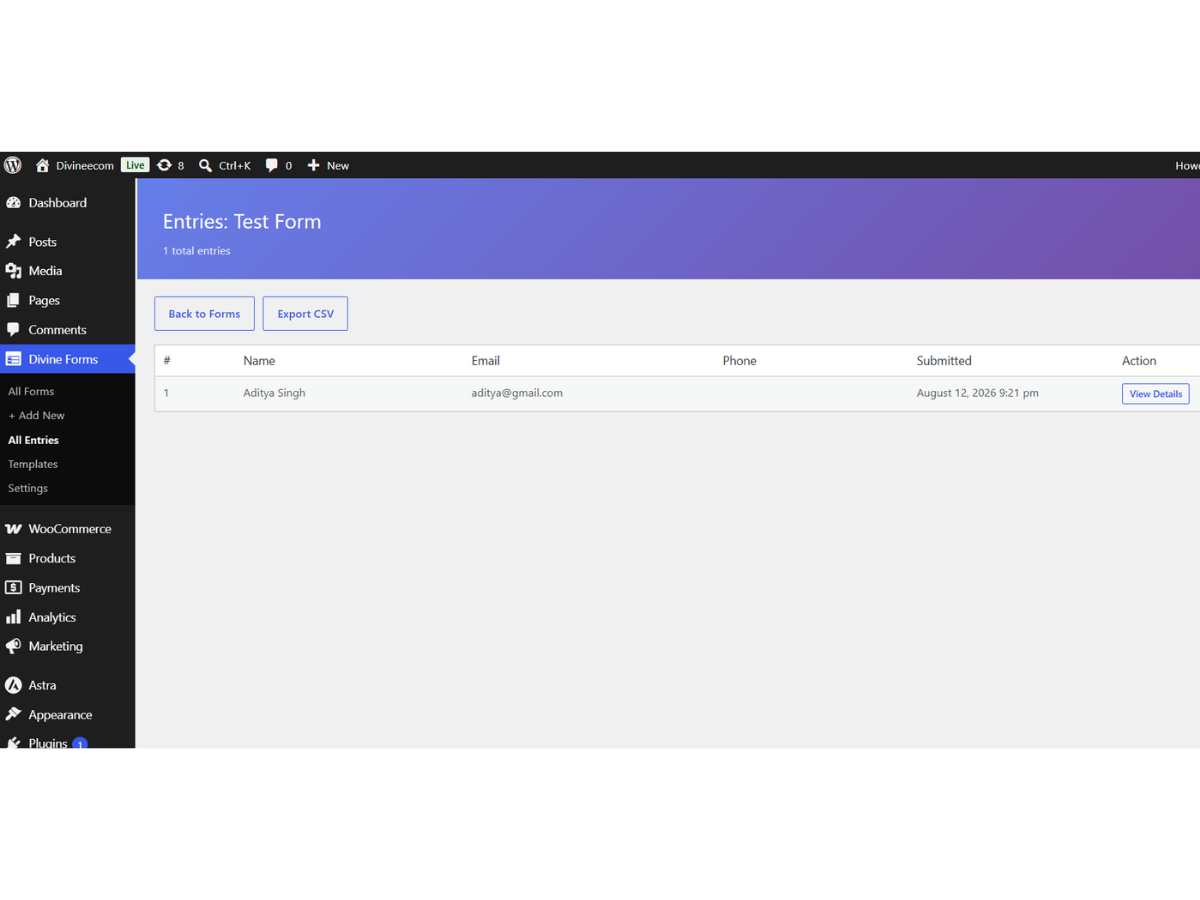 Local Database Submission Storage & CSV Export